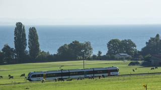 Thurbo Zug mit Bodenseeblick | © Bodensee Ticket